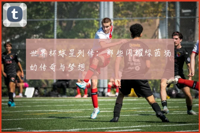 世界杯球星列传：那些闪耀绿茵场的传奇与梦想