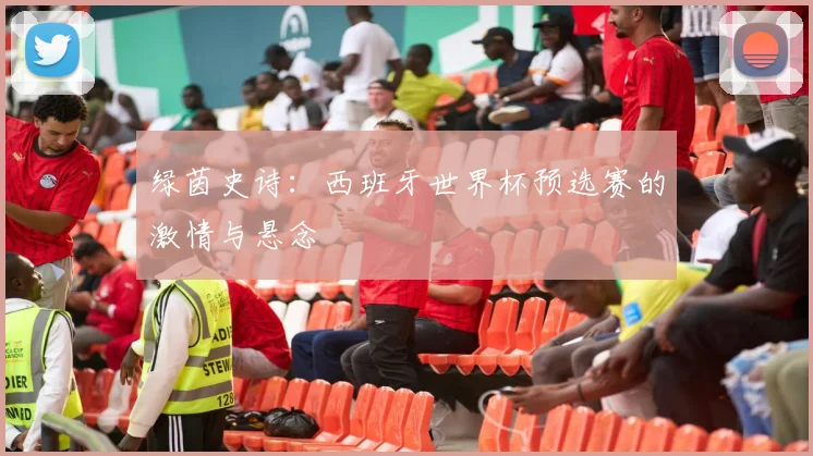 绿茵史诗：西班牙世界杯预选赛的激情与悬念