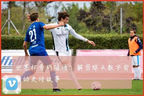 世界杯号码暗语：解密球衣数字背后的史诗故事