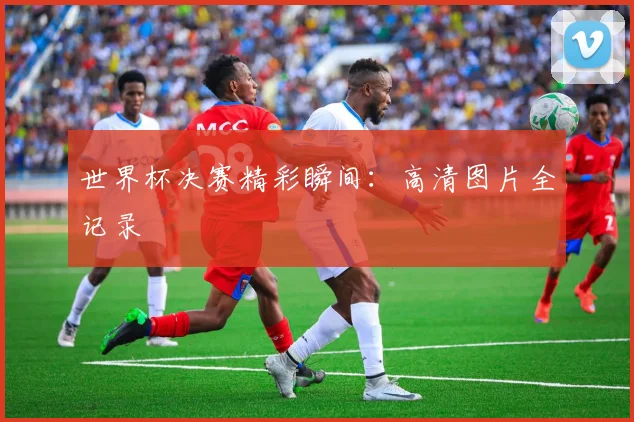 世界杯决赛精彩瞬间：高清图片全记录