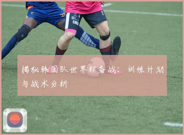 揭秘韩国队世界杯备战：训练计划与战术分析