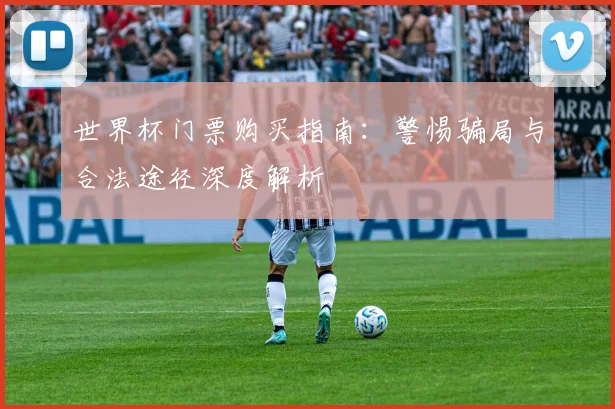 世界杯门票购买指南：警惕骗局与合法途径深度解析