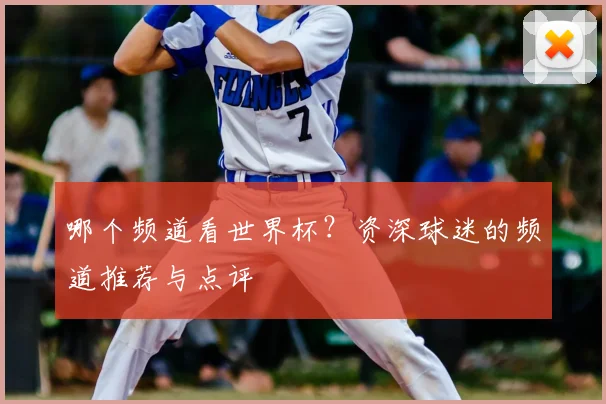 哪个频道看世界杯？资深球迷的频道推荐与点评