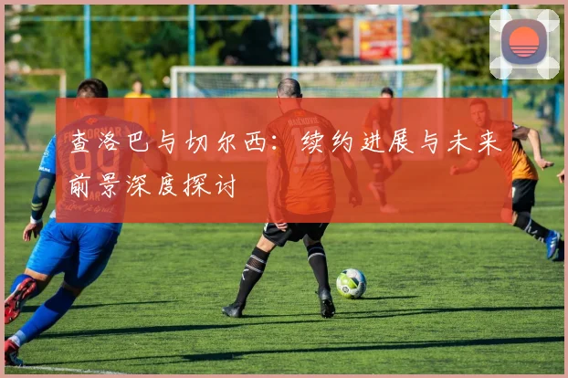 查洛巴与切尔西：续约进展与未来前景深度探讨